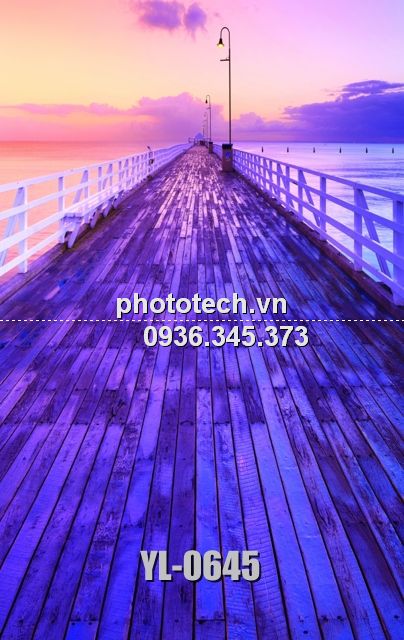 YL-0645-phototech.vn