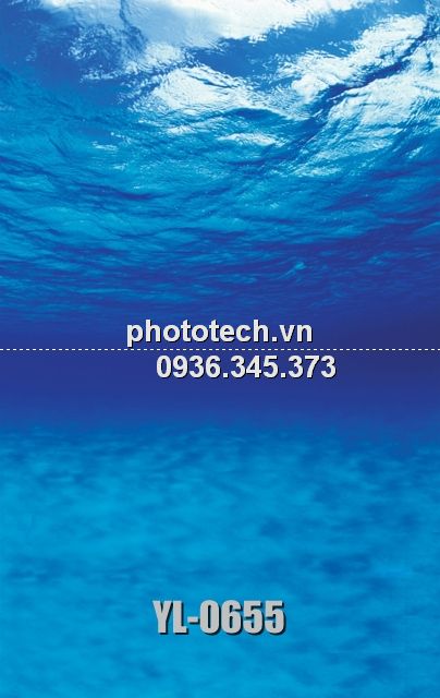 YL-0655-phototech.vn