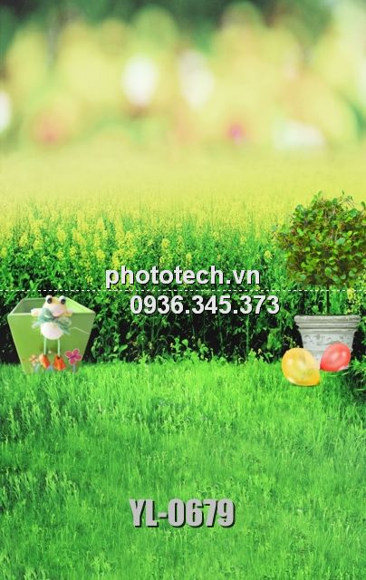 YL-0679-phototech.vn