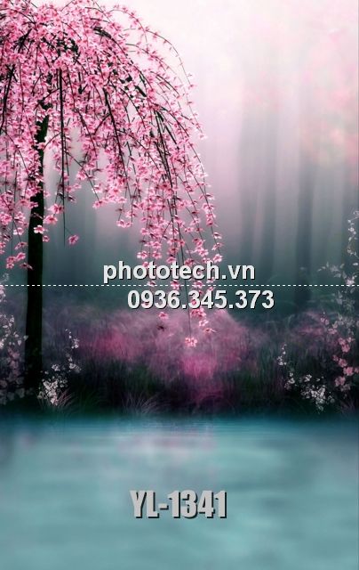 YL-1341-phototech.vn