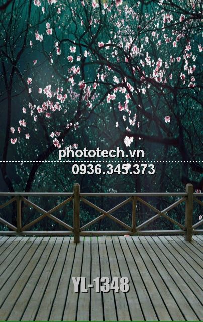 YL-1348-phototech.vn