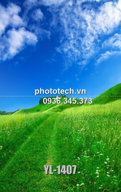 YL-1407-phototech.vn