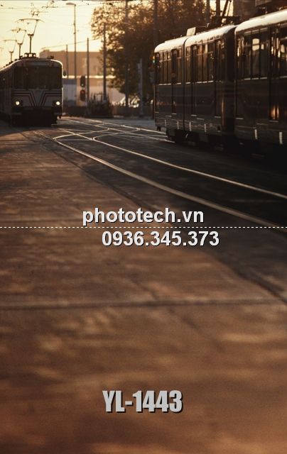 YL-1443-phototech.vn