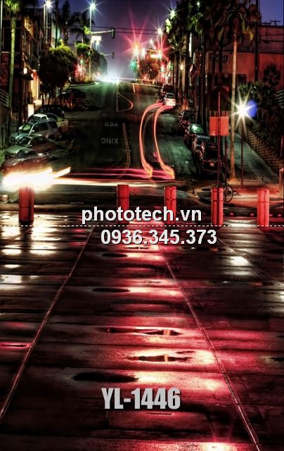 YL-1446-phototech.vn