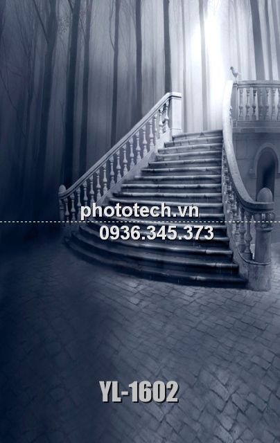 YL-1602-phototech.vn