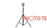 Bộ kit chân đèn SIRUI DJ280 + softbox Sirui RGX60