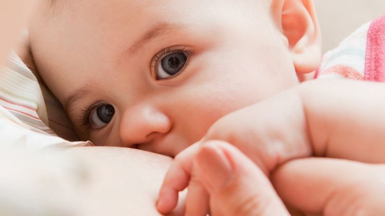 Chữa tắc tia sữa tại nhà