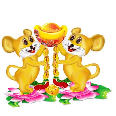 sinh-con-nam-ty-2020-evacare