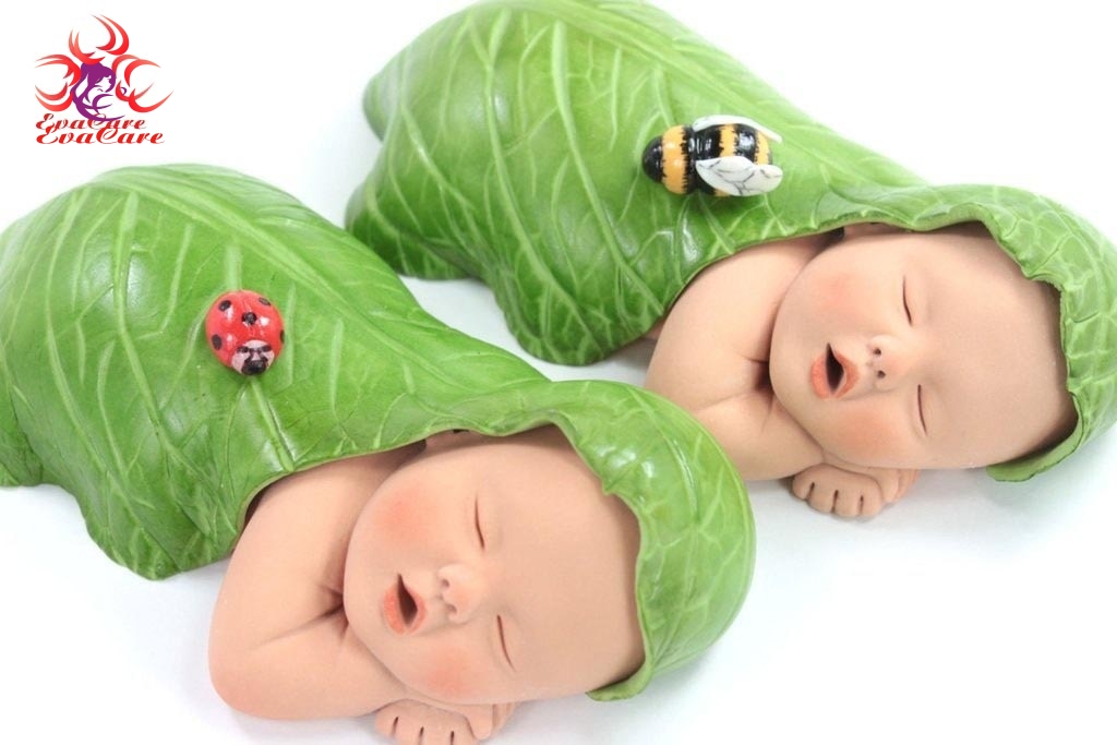 Tổng hợp tất tần tật các loại lá tắm cho trẻ sơ sinh