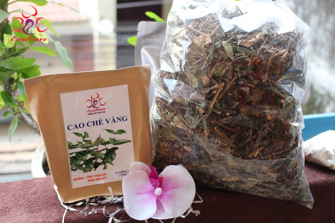 Cao chè vằng