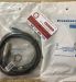 Cảm biến tiệm cận , cảm biến điện dung , cảm biến ,Prosensor TM1-X1805E1-P25 TM2-X1805E1 Capacitive Proximity Sensor Spot,TM1-X1805E,TM2-X1805E,Prosen