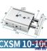 CXSM10-100
