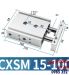 CXSM15-100