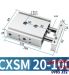 CXSM20-100