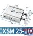 CXSM25-100