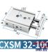 CXSM32-100