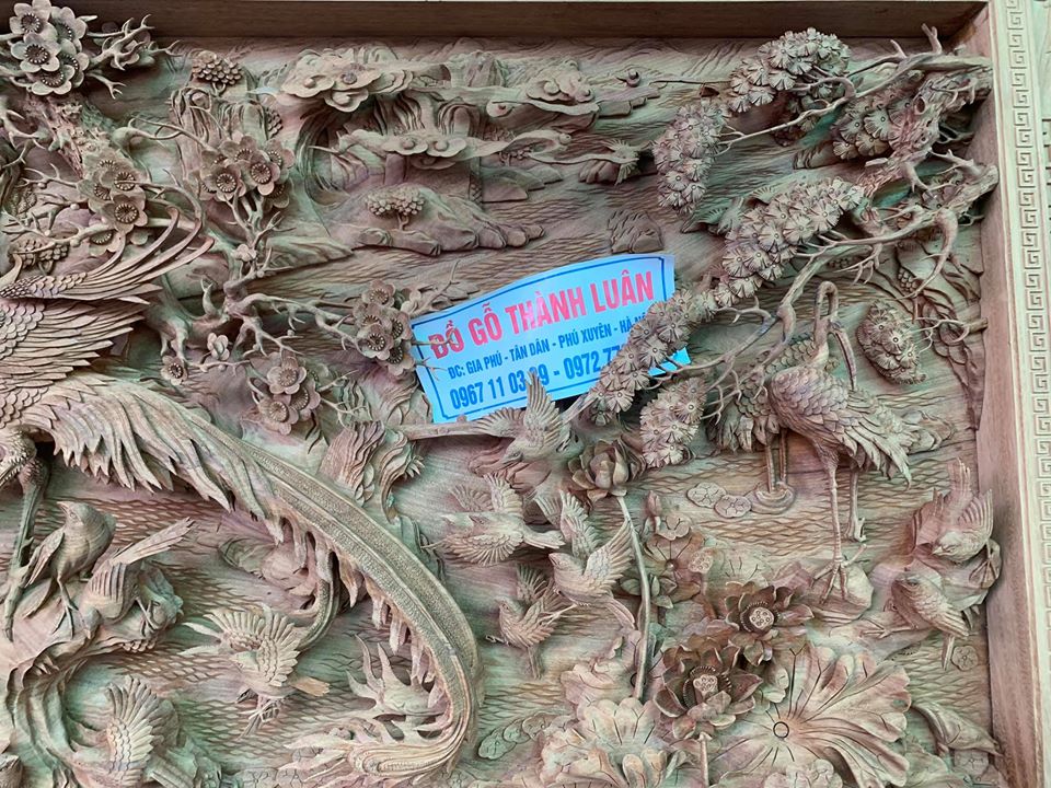 73524641_1457950447686176_1601367123110658048_o