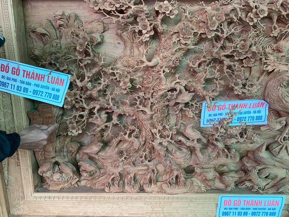 73059985_1457950107686210_3609342051423879168_o