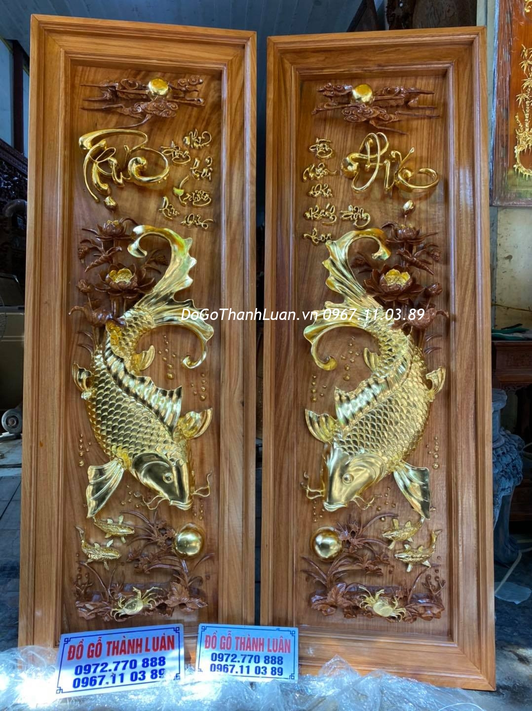 Cá chép dát vàng ta 9999