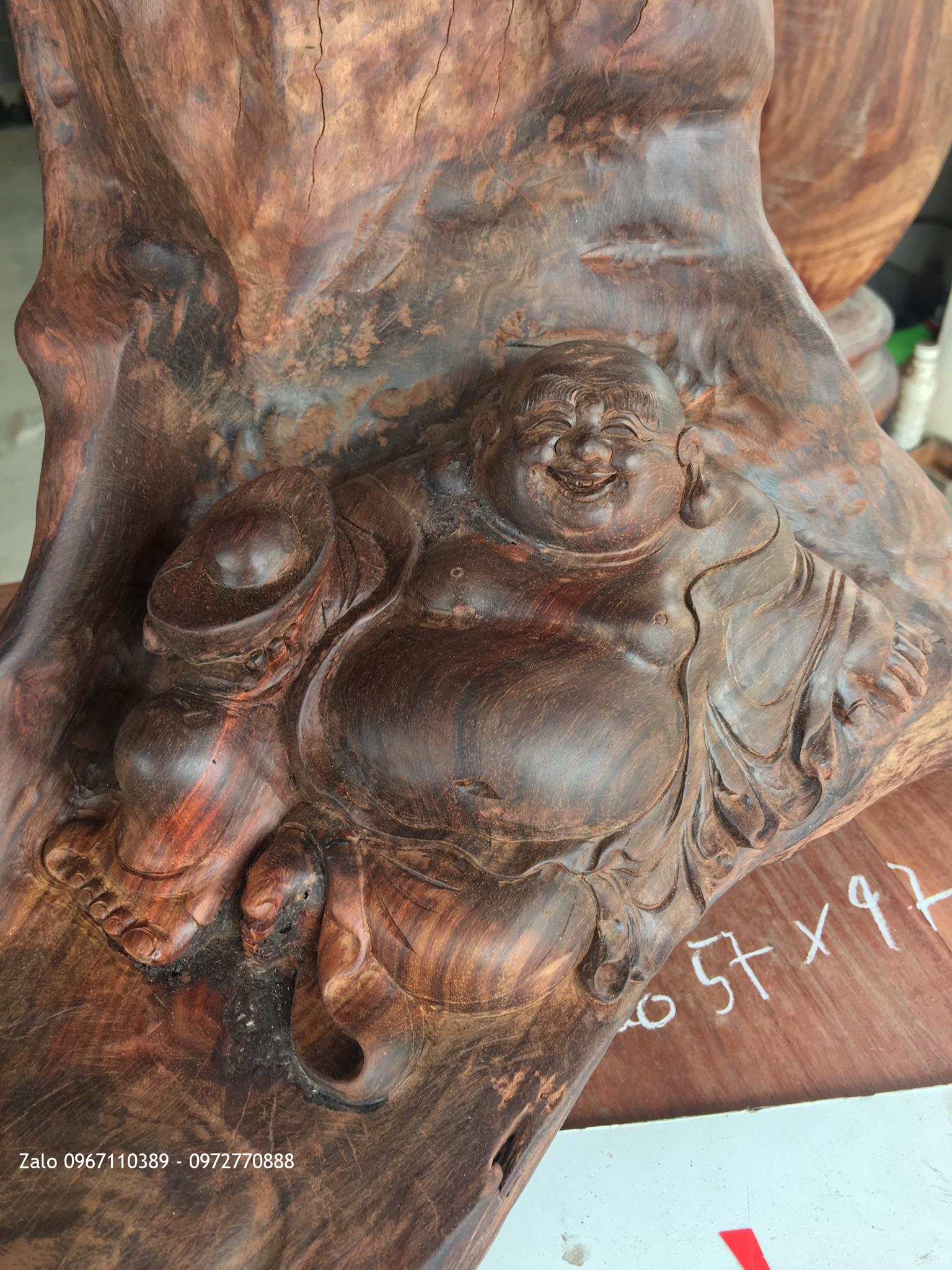 TƯỢNG DI LẶC NẰM DƯỚI GỐC TÙNG GỖ TRẮC ĐỎ-