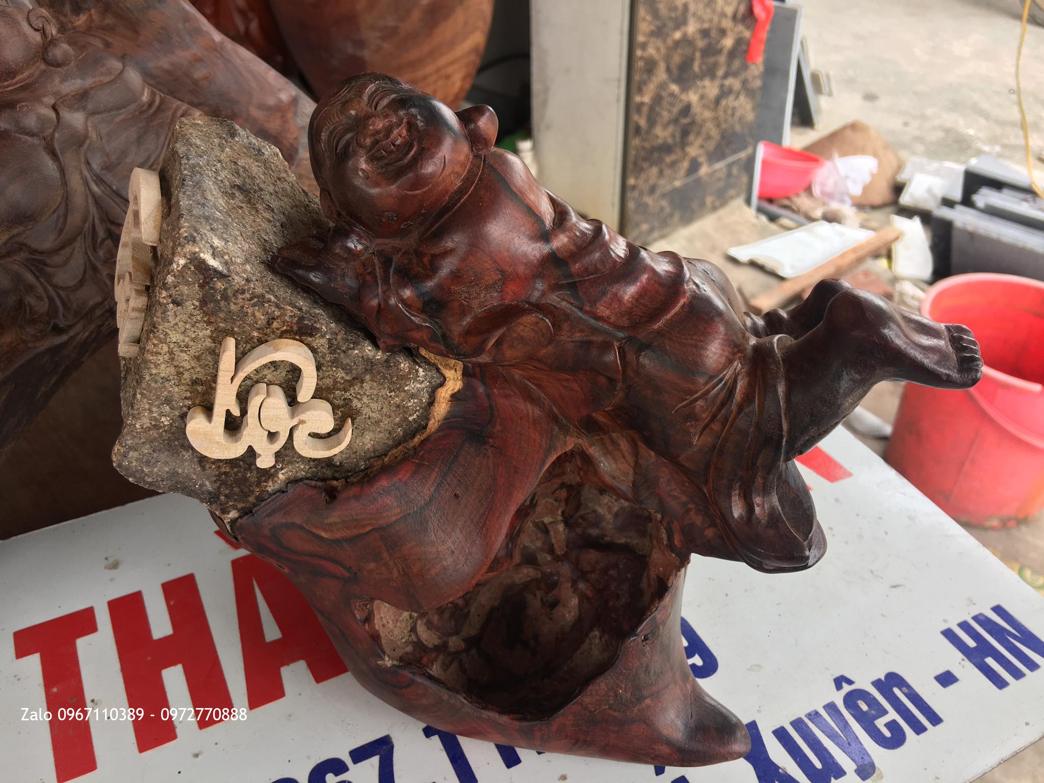 TƯỢNG DI LẶC NẰM DƯỚI GỐC TÙNG GỖ TRẮC ĐỎ.