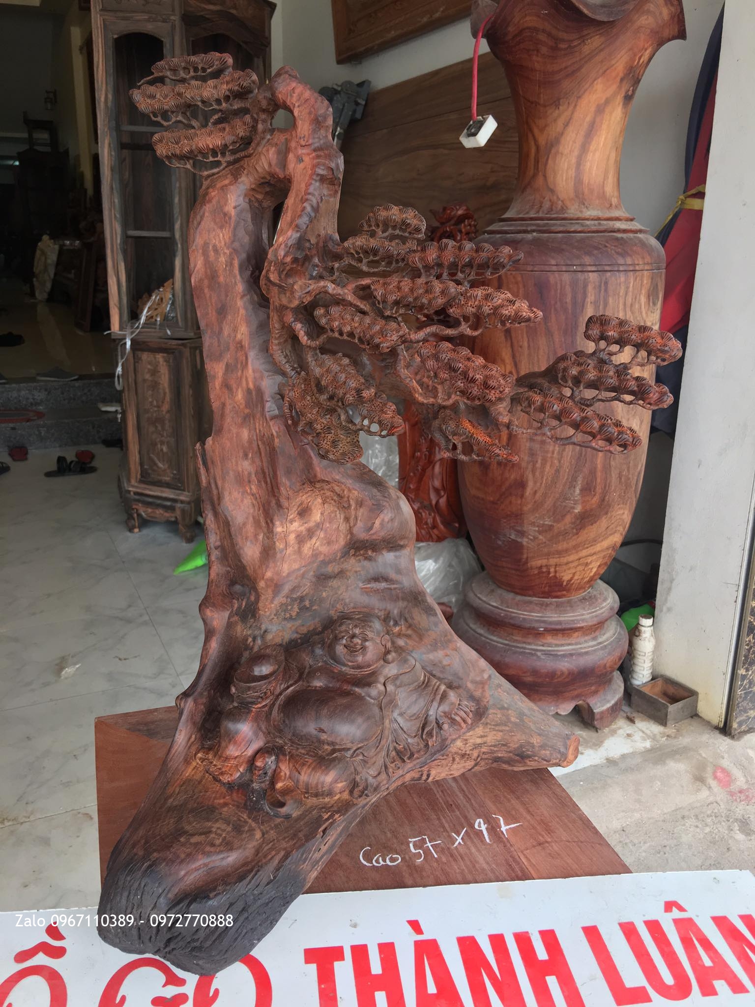 TƯỢNG DI LẶC NẰM DƯỚI GỐC TÙNG GỖ TRẮC ĐỎ..