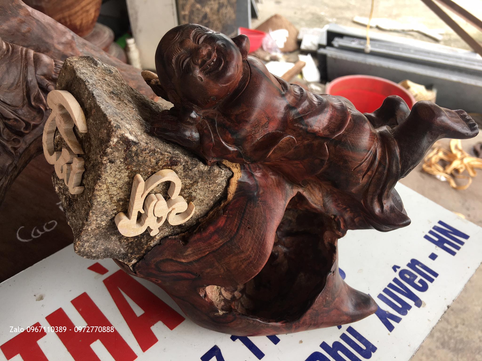 TƯỢNG DI LẶC NẰM DƯỚI GỐC TÙNG GỖ TRẮC ĐỎ.