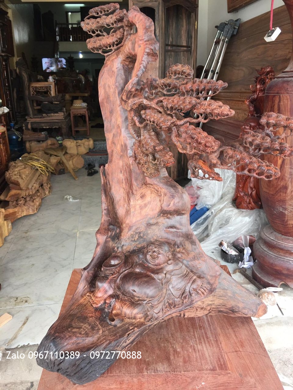 TƯỢNG DI LẶC NẰM DƯỚI GỐC TÙNG GỖ TRẮC ĐỎ