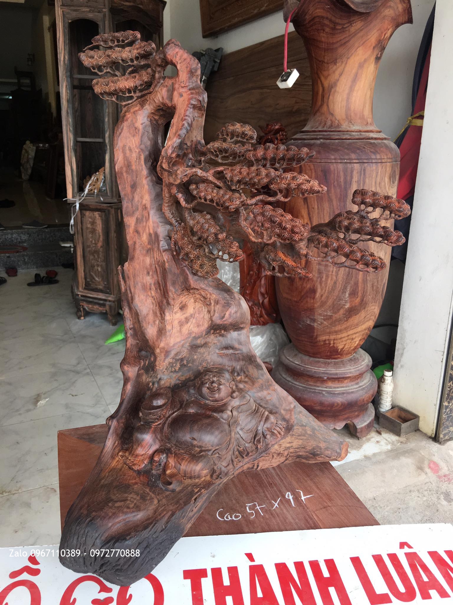 TƯỢNG DI LẶC NẰM DƯỚI GỐC TÙNG GỖ TRẮC ĐỎ: