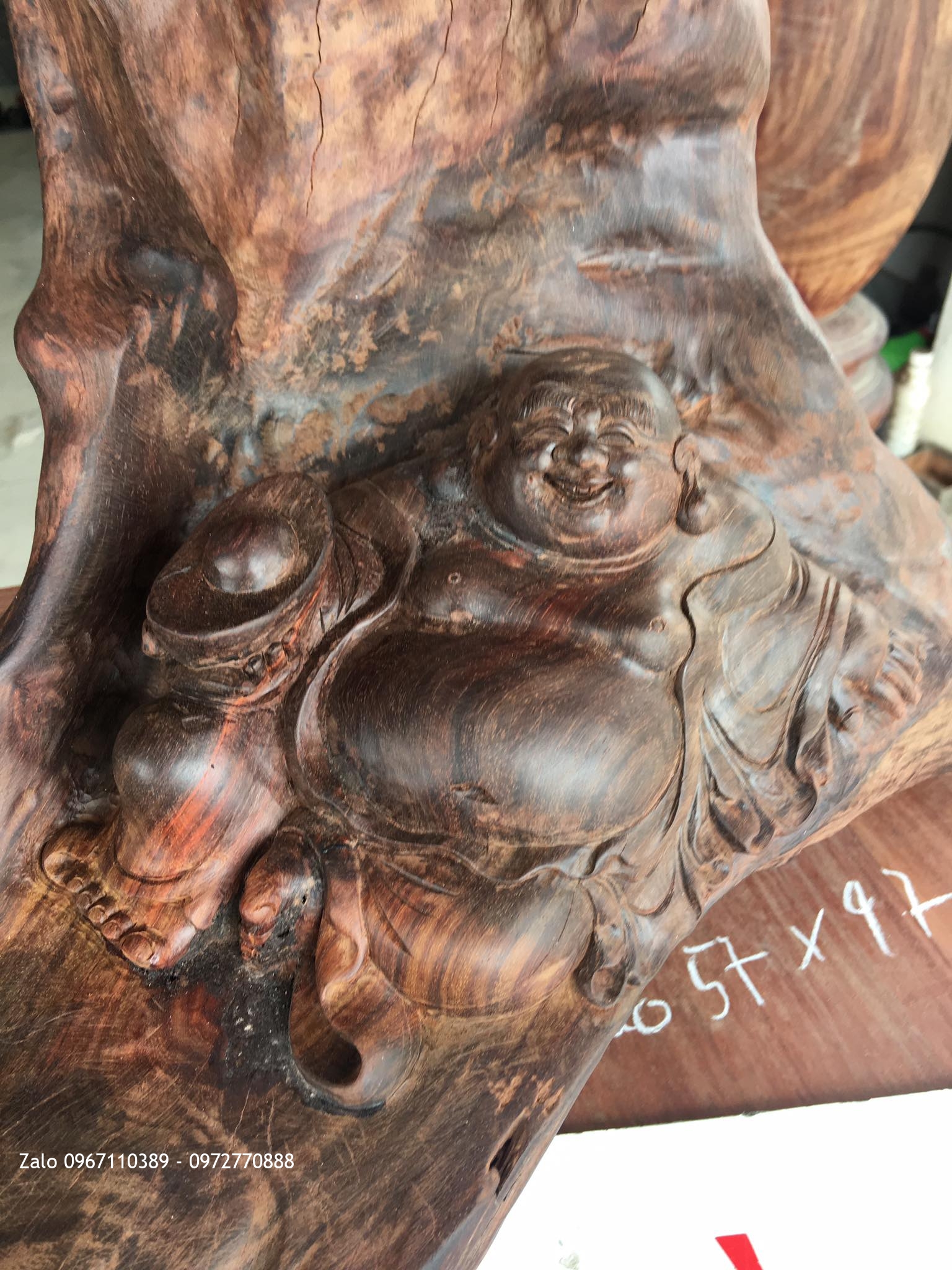 TƯỢNG DI LẶC NẰM DƯỚI GỐC TÙNG GỖ TRẮC ĐỎ: