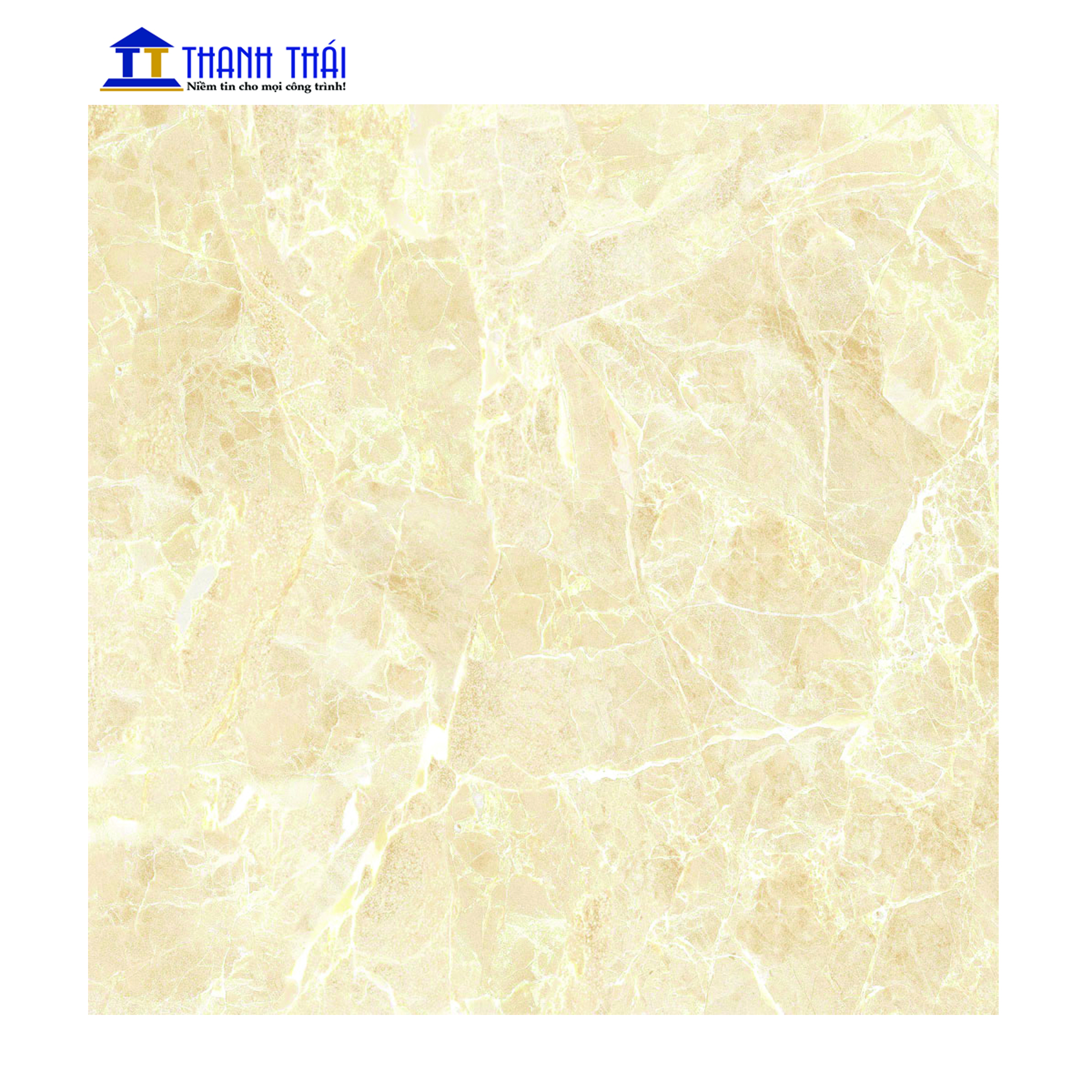 GẠCH GRANITE KỸ THUẬT SỐ VIGLACERA UB8802