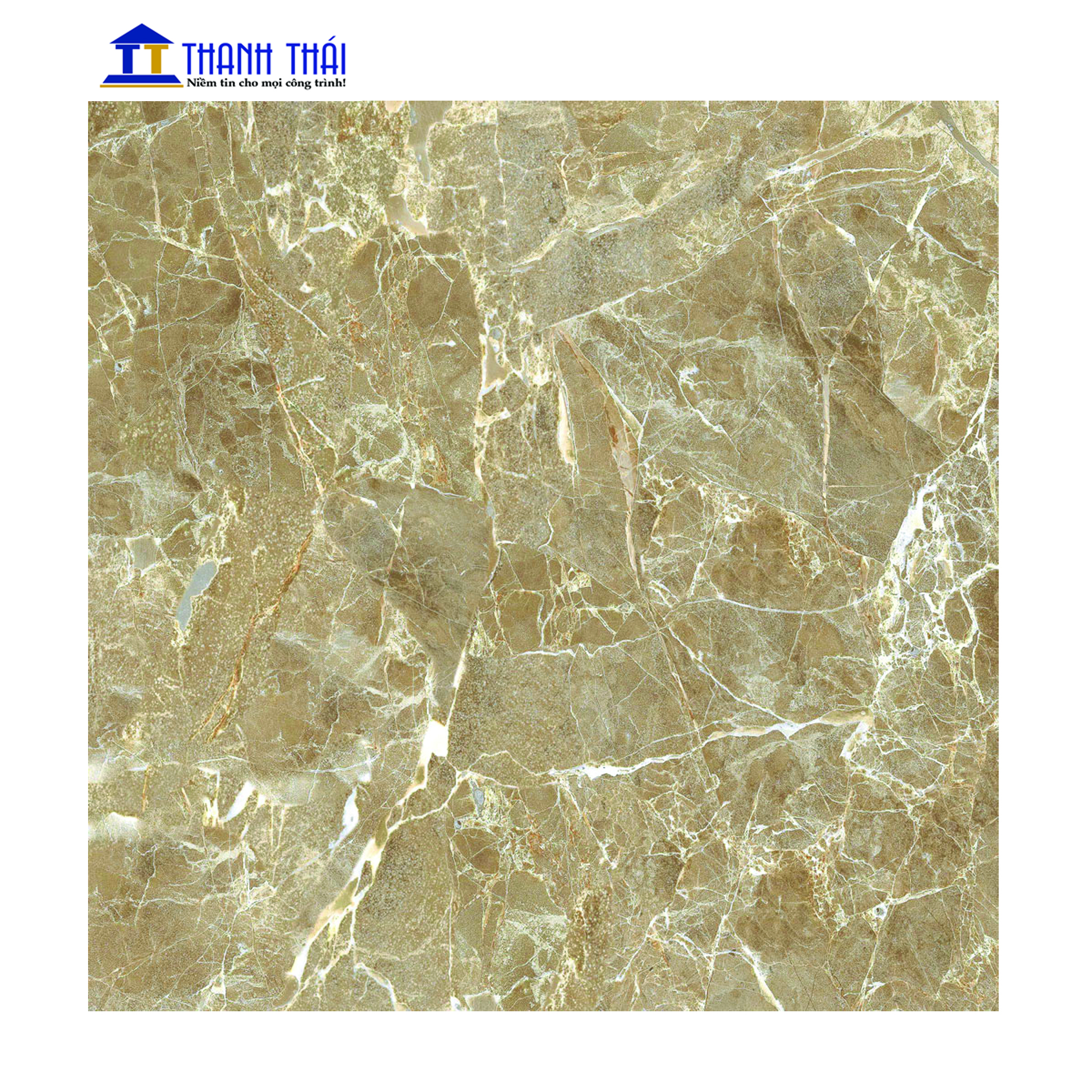 GẠCH GRANITE KỸ THUẬT SỐ VIGLACERA UB8801