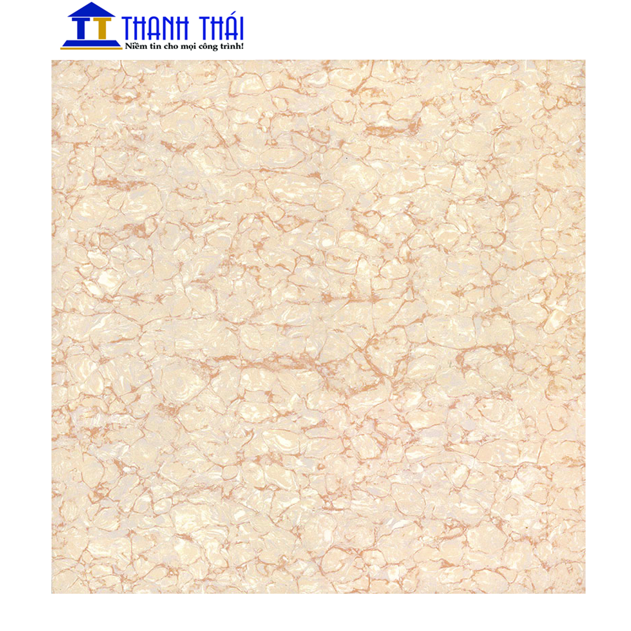 GẠCH GRANITE KỸ THUẬT SỐ VIGLACERA TS2-615