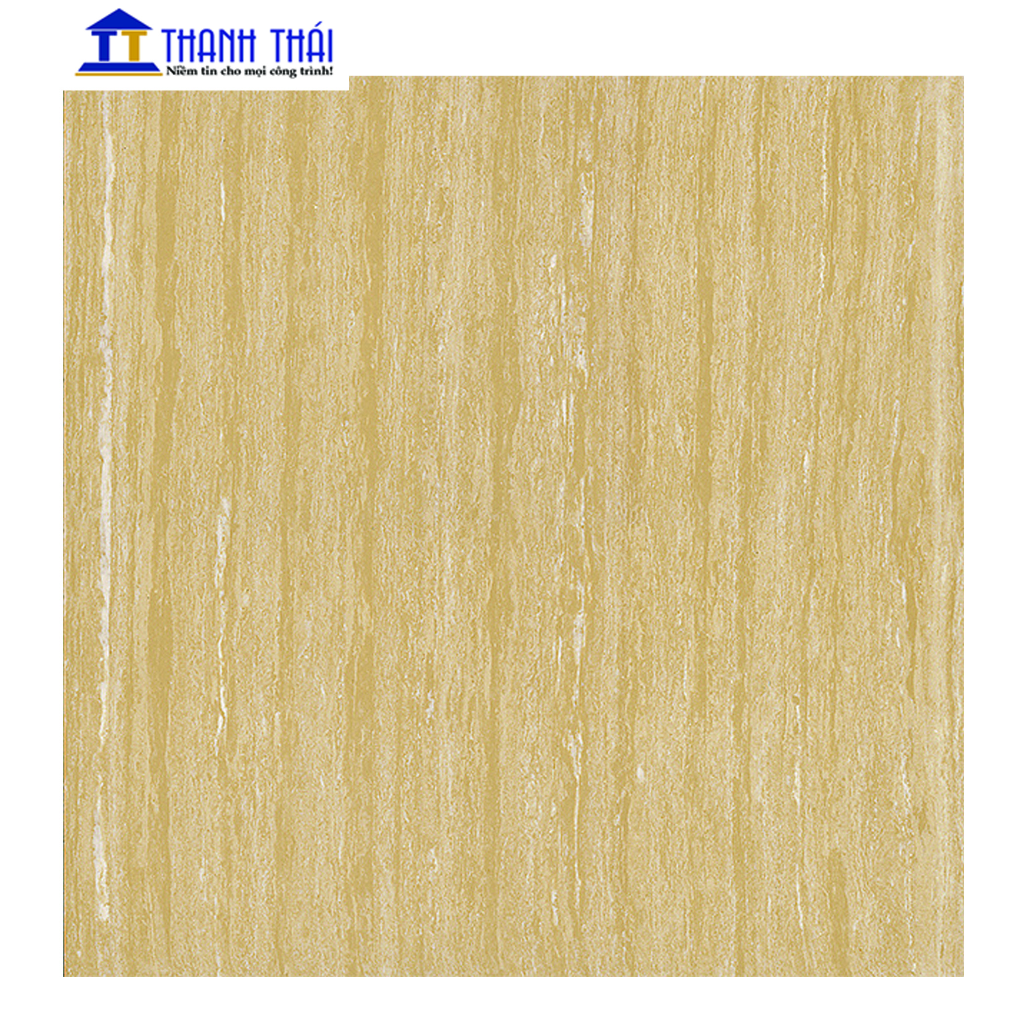 GẠCH GRANITE VIGLACERA TS3-612