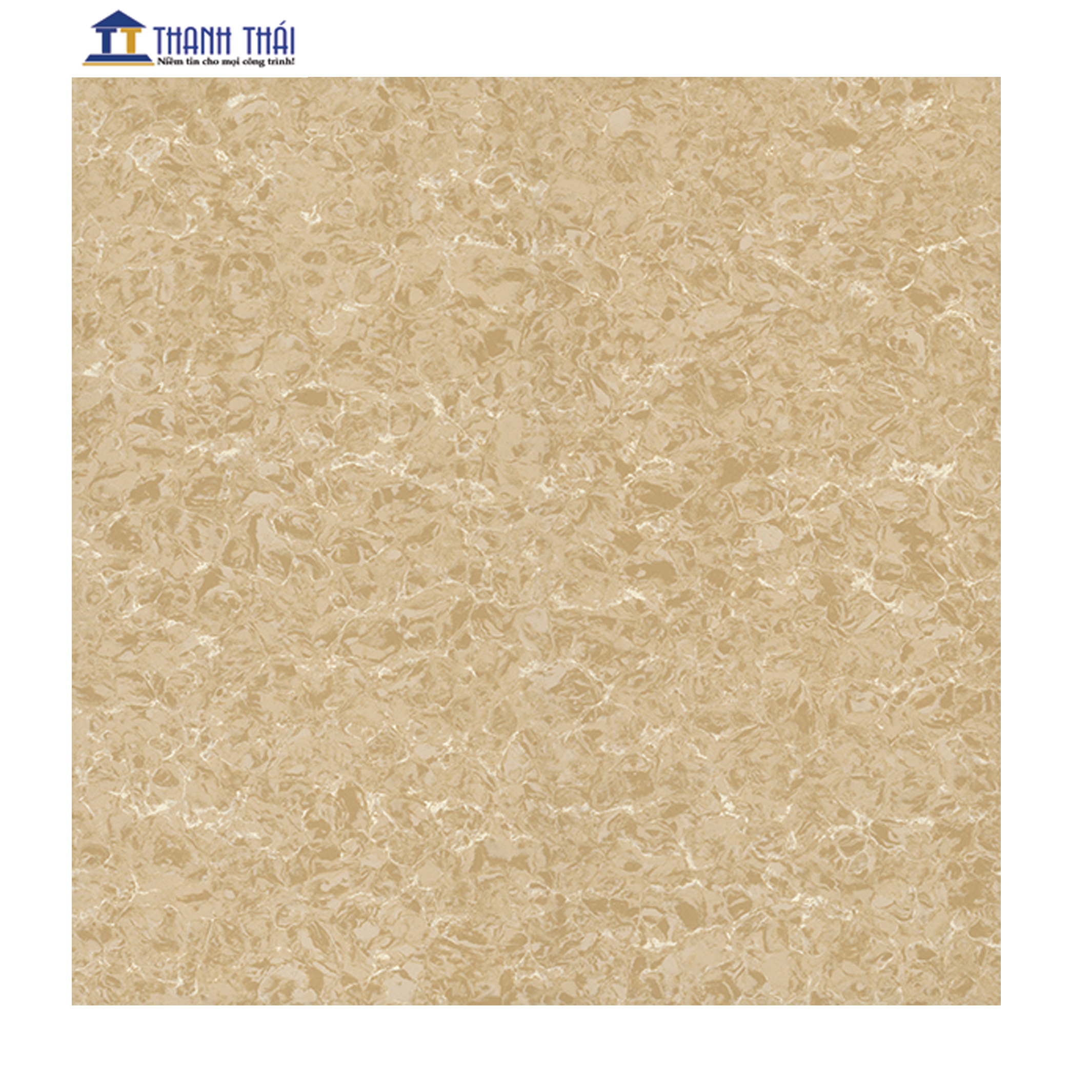 GẠCH GRANITE LÁT NỀN VIGLACERA TS2-626