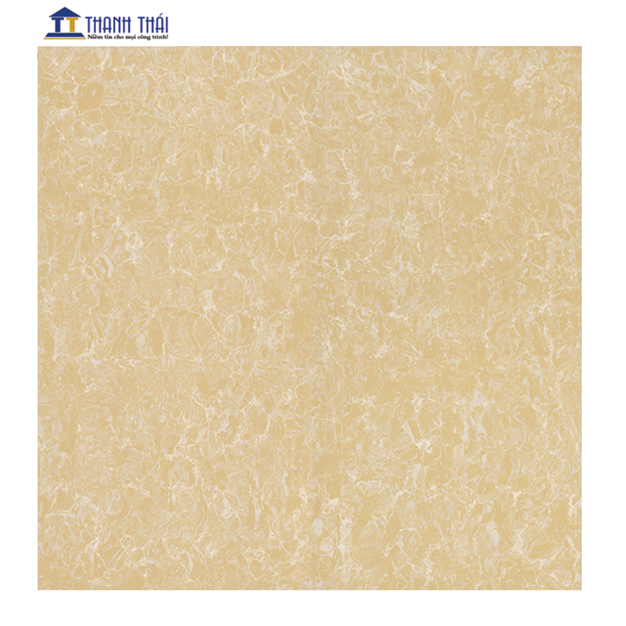 GẠCH GRANITE LÁT NỀN VIGLACERA TS2-622