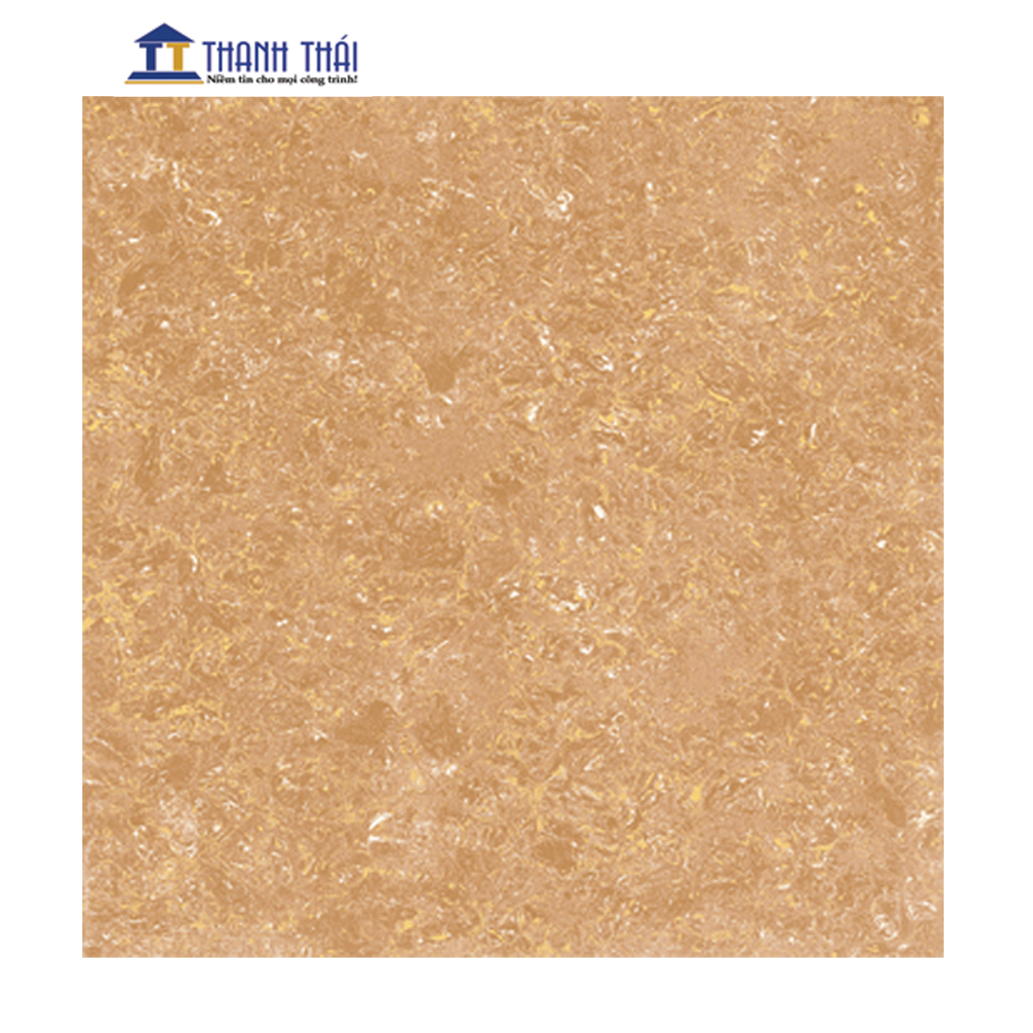 GẠCH GRANITE  VIGLACERA TS1-610