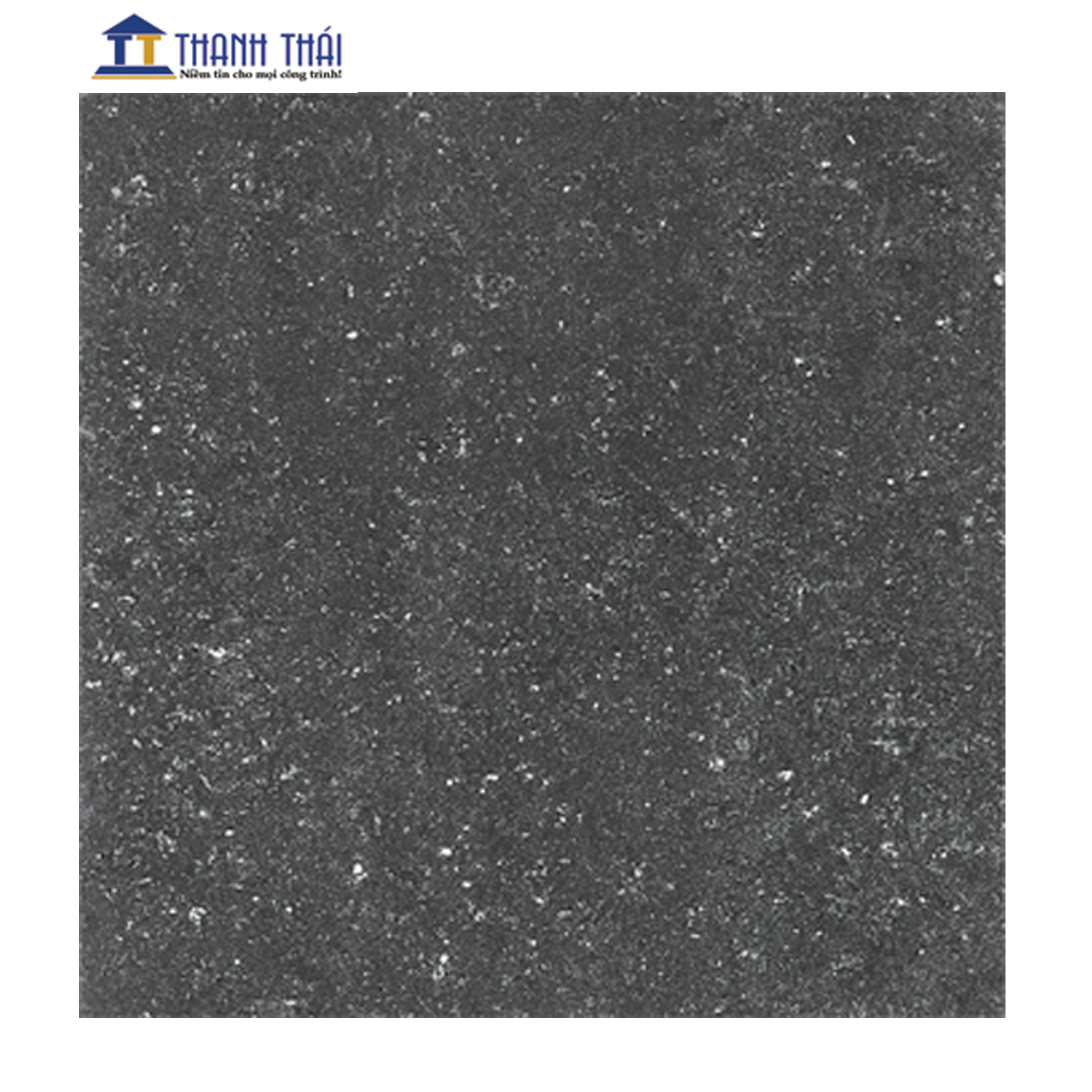 GẠCH GRANITE LÁT NỀN VIGLACERA TS1-614