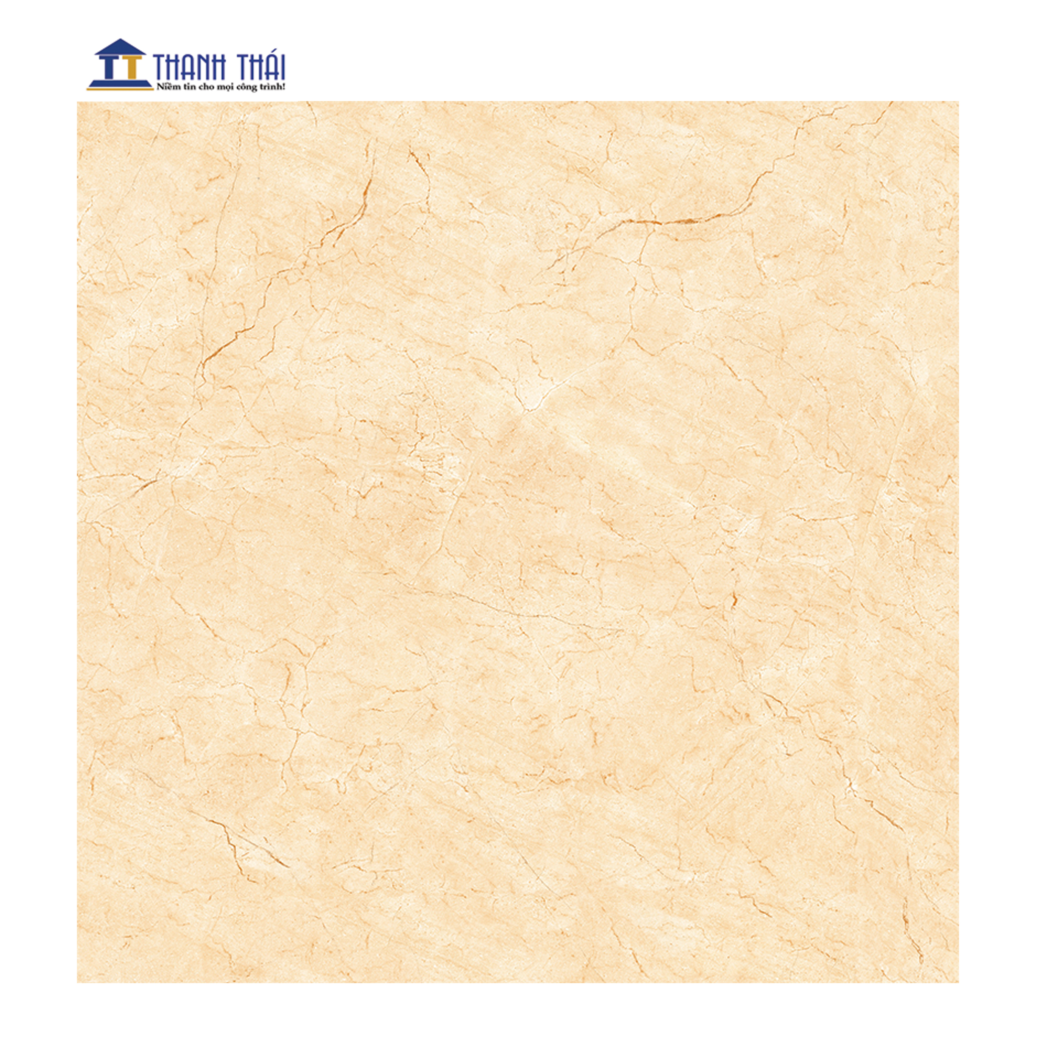 GẠCH GRANITE LÁT NỀN VIGLACERA H503