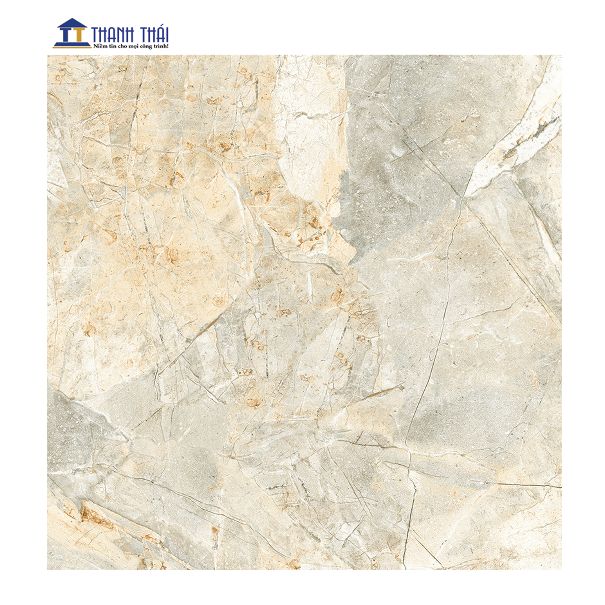 GẠCH GRANITE LÁT NỀN VIGLACERA H502