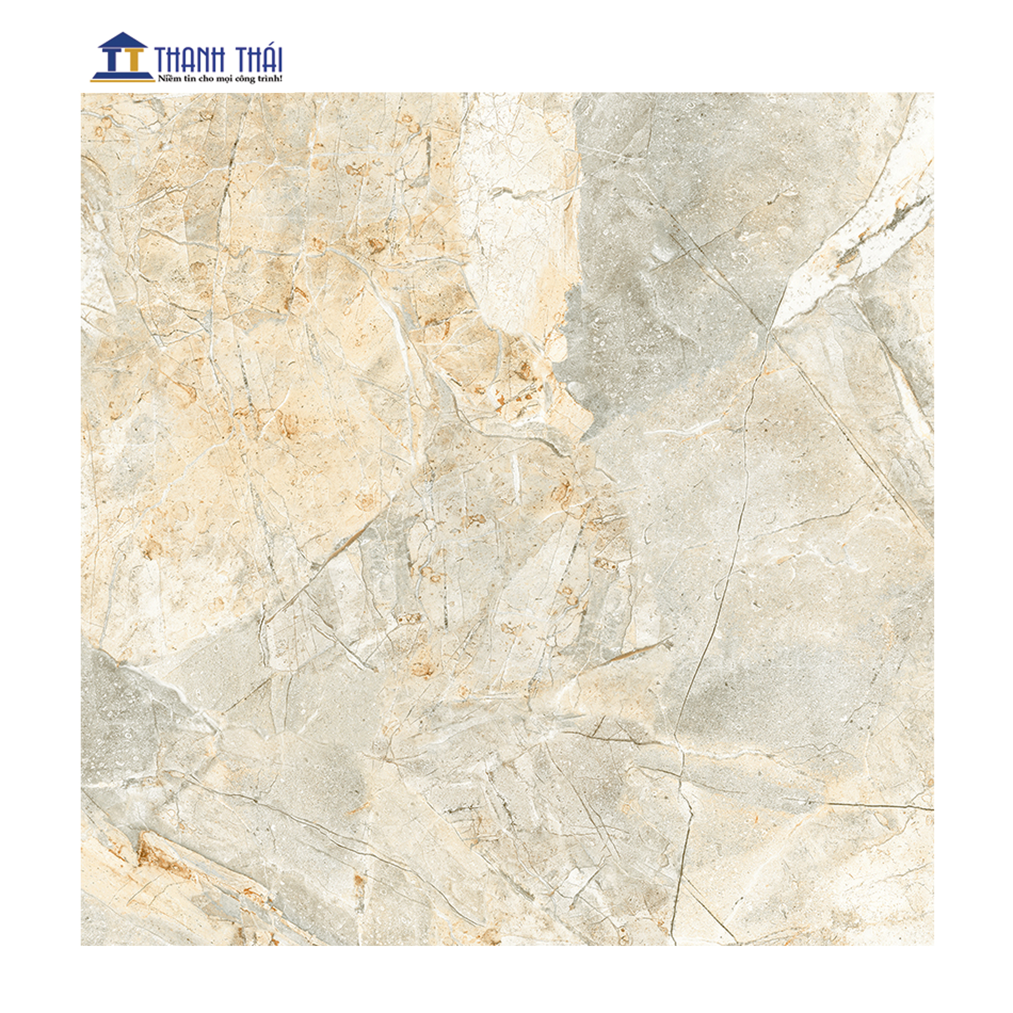 GẠCH GRANITE LÁT NỀN VIGLACERA H502