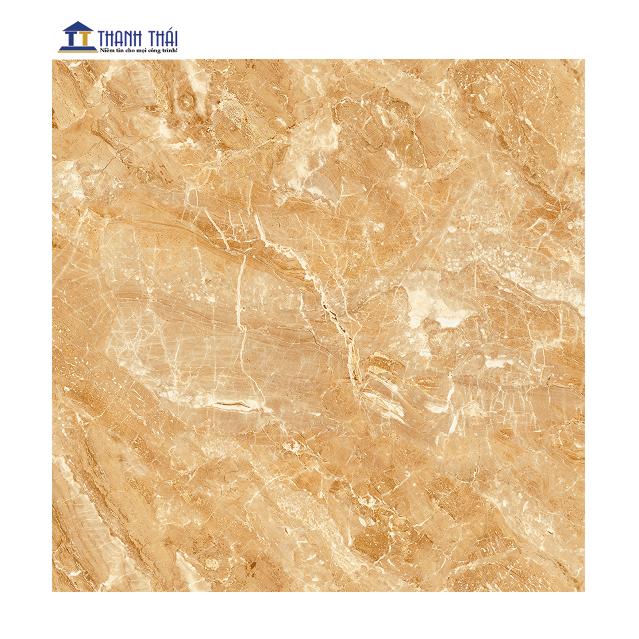 GẠCH GRANITE LÁT NỀN VIGLACERA H501