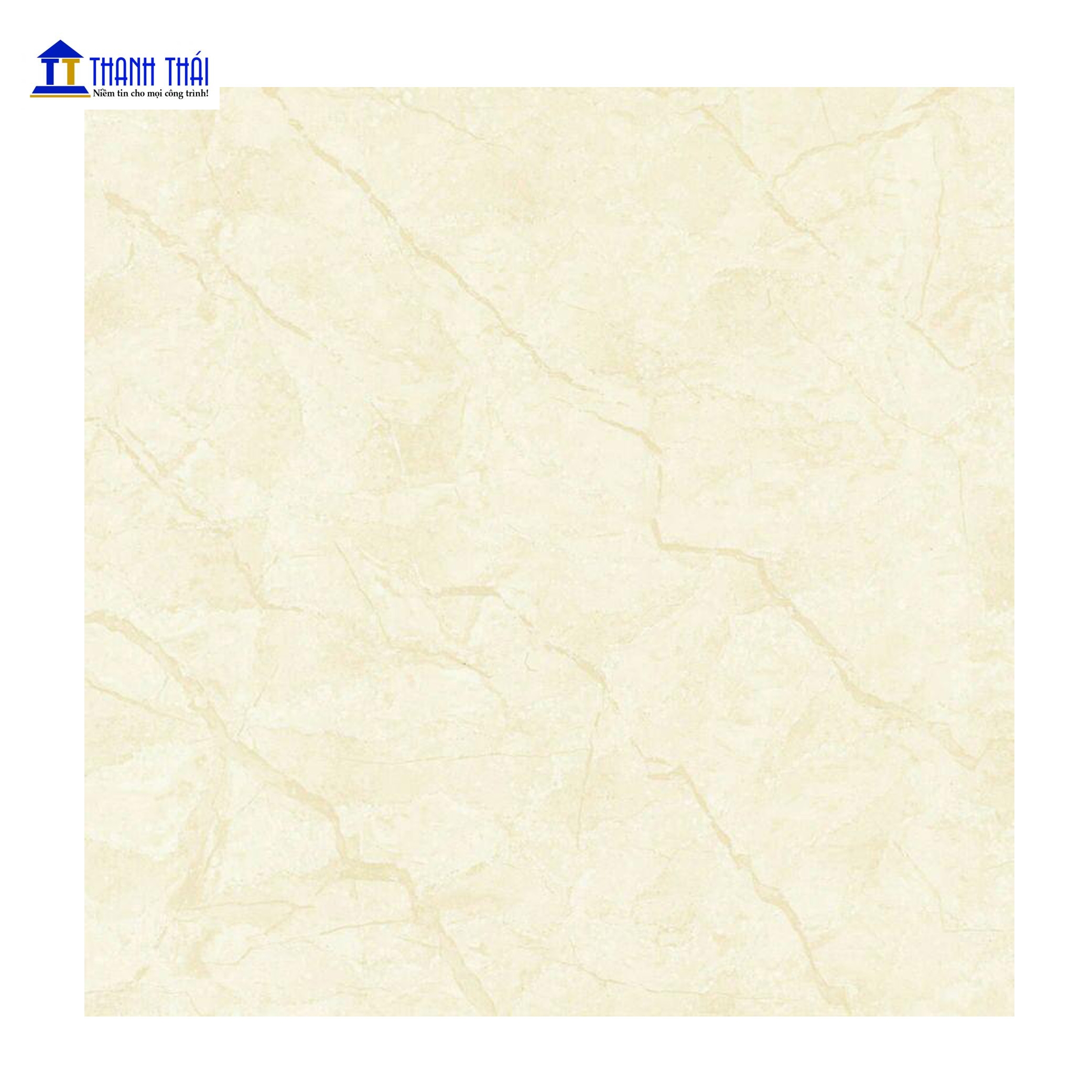 GẠCH GRANITE MÀI BÓNG THẠCH BÀN BDN80 - 832