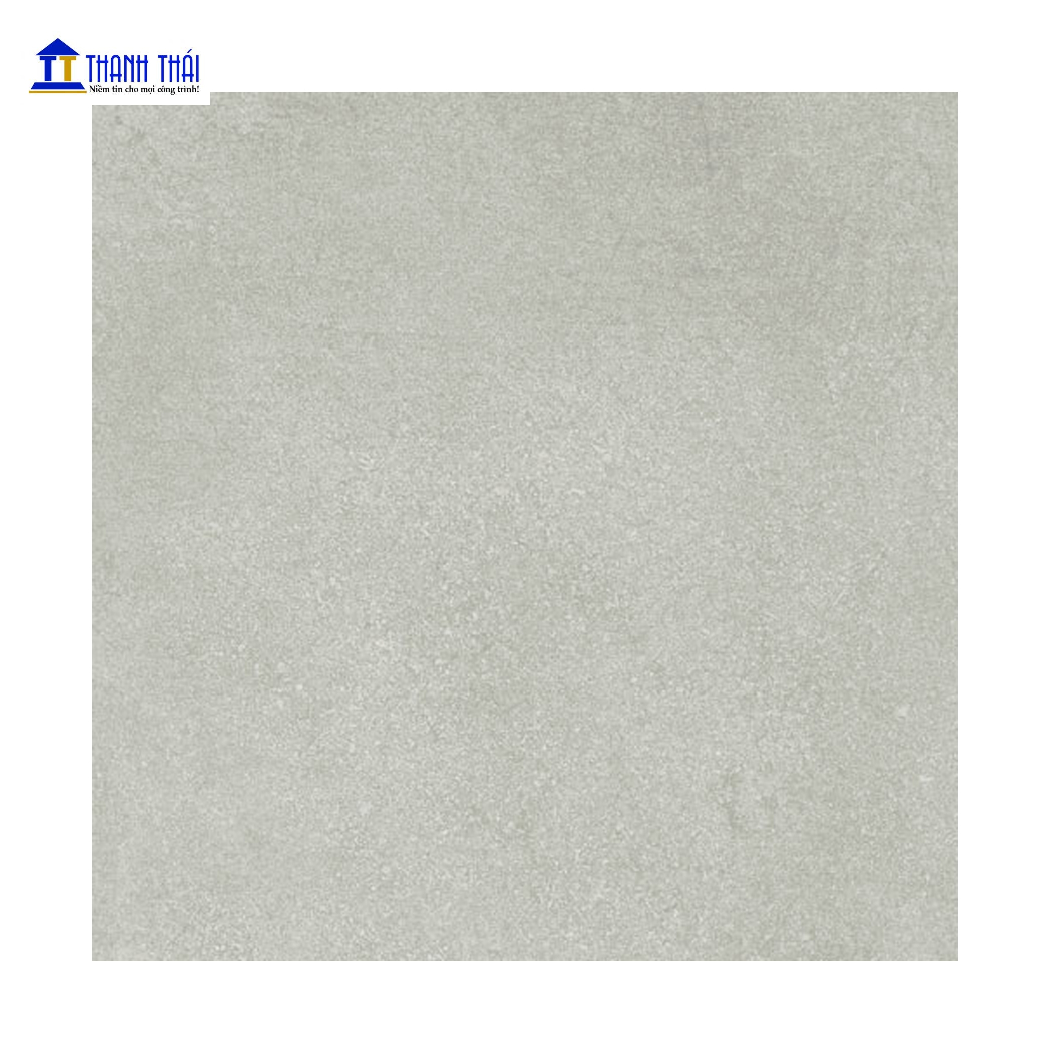 GẠCH GRANITE THẠCH BÀN PHỦ MEN KHÔ - DIGIART MPF 042