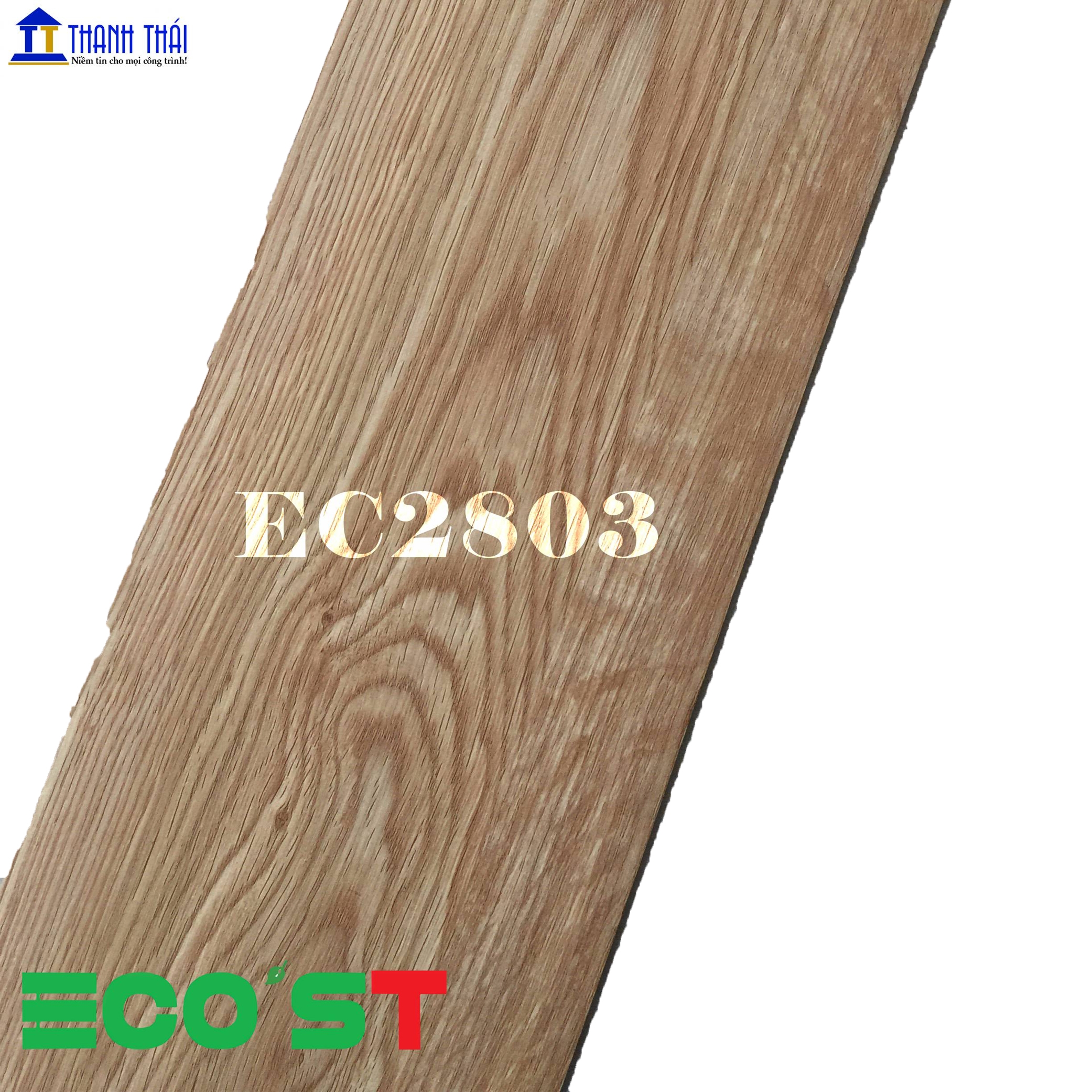 SÀN NHỰA DÁN KEO ECO'ST EC2803