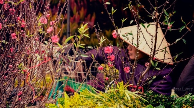 HOADAO_TOCHUCSUKIEN (6)