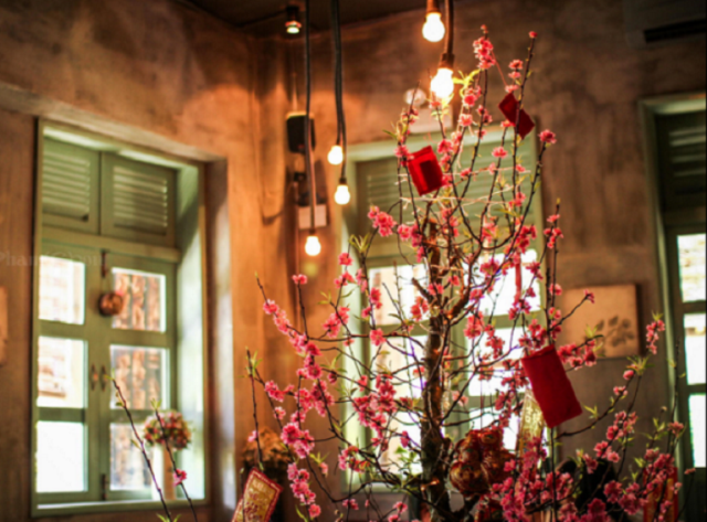 HOADAO_TOCHUCSUKIEN (1)