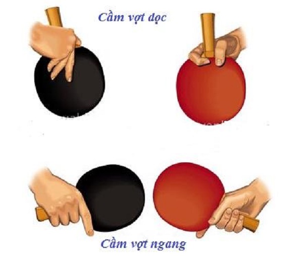 học bóng bàn
