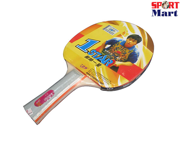 Vợt bóng bàn 729 1sao