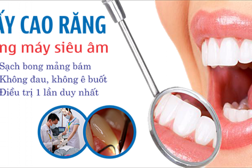 Phản hồi của khách hàng